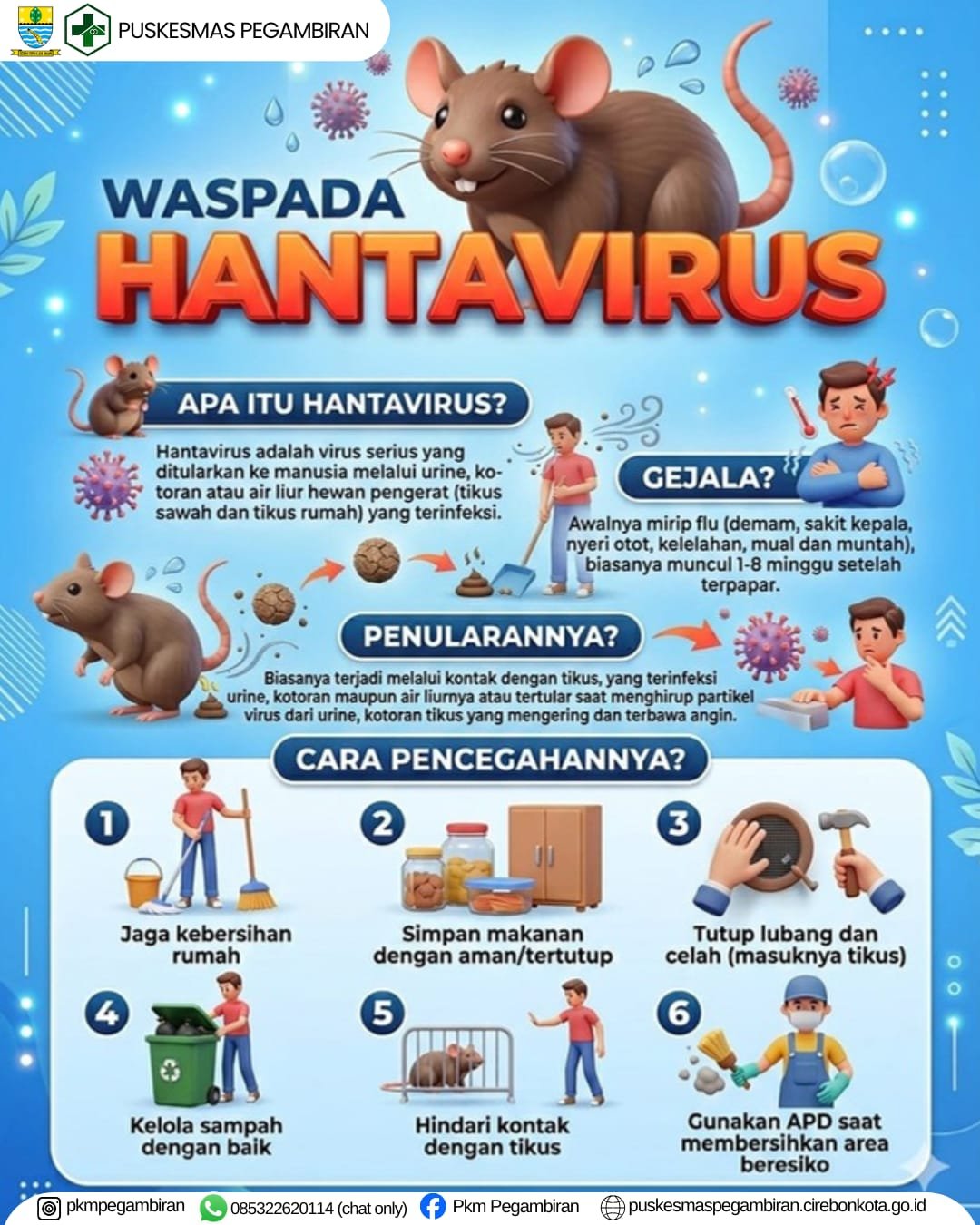 WASPADA HANTAVIRUS